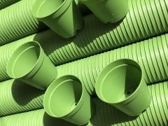 50 ADET 5.5 CM SUKULENT KAKTÜS SAKSISI(YEŞİL)