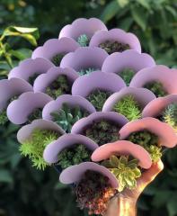 PEMBE KAPLI MİX PAKET