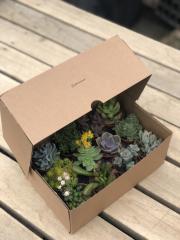 12'Lİ MİX PAKET(KARGO DAHİL PAKET)