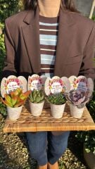 8 MART DÜNYA KADINLAR GÜNÜ ÖZEL MİX