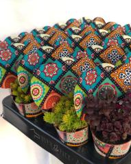 MANDALA DESENLİ MİX PAKET