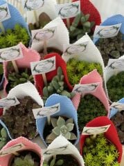 RENKLİ KUMAŞ SÜSLEMELİ MİX PAKET