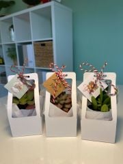 YILBAŞI ÖZEL BEYAZ ÇANTALI MİX