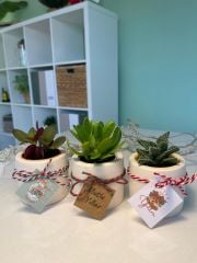 YILBAŞI ÖZEL SİLİNDİR MODEL BETON SAKSILI MİX