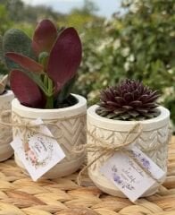 BETON SAKSI (3 FARKLI DESENLİ MODEL) MİX PAKET