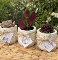 BETON SAKSI (3 FARKLI DESENLİ MODEL) MİX PAKET