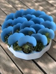 MAVİ KAPLI MİX PAKET