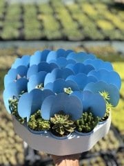 MAVİ KAPLI MİX PAKET