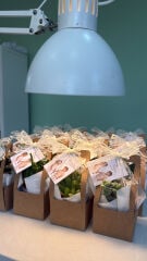 KRAFT ÇANTALI MİX PAKET (DANTEL FİYONKLU)
