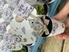 BEBEK DESENLİ MİX PAKET