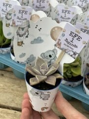 BEBEK DESENLİ MİX PAKET