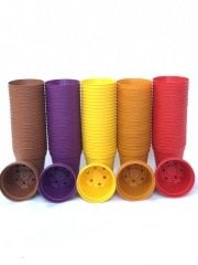 50 ADET KARIŞIK RENK 5.5 CM SUKULENT&KAKTÜS SAKSISI