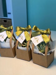 KRAFT ÇANTALI MİX PAKET (YEŞİL KALIN SATEN KURDELELİ)