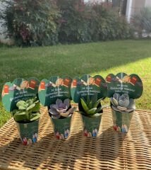 ÖĞRETMENLER GÜNÜ ÖZEL KÜLAH MİX