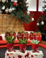 YILBAŞI ÖZEL MİX PAKET