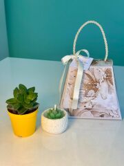 SUKULENT-MUM LALEZAR ÇANTALI