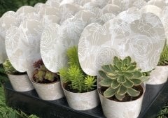 GRİ-BEYAZ KENDİNSEN DESENLİ MİX PAKET