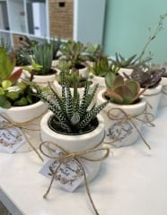 BETON(SİLİNDİR MODEL) SAKSILI MİX PAKET