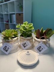 ATLIKARINCA BETON MODEL