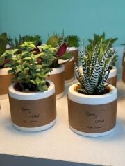 KRAFT SARILI SİLİNDİR BETON MODEL