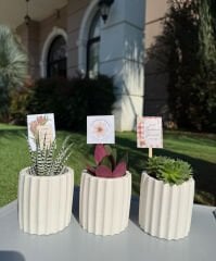 ÖĞRETMENLER GÜNÜ ÖZEL (TIRTIKLI SİLİNDİR) BETON MODEL