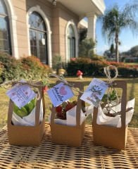 ANNELER GÜNÜ ÖZEL ÇANTALI MİX (KRAFT RENK)