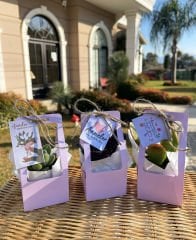 ANNELER GÜNÜ ÖZEL ÇANTALI MİX (PEMBE RENK)