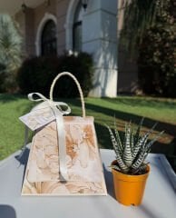 ÖĞRETMENLER GÜNÜ ÖZEL LALEZAR KUTU ÇANTALI SUKULENT