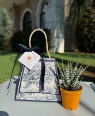 ÖĞRETMENLER GÜNÜ ÖZEL HELEN DESEN KUTU ÇANTALI SUKULENT