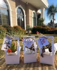 ANNELER GÜNÜ ÖZEL ÇANTALI MİX (BEYAZ RENK)