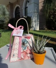 ÖĞRETMENLER GÜNÜ ÖZEL FLOWERS KUTU ÇANTALI SUKULENT