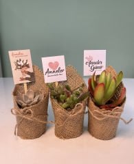 ANNELER GÜNÜ ÖZEL JÜT SÜSLEMELİ MİX