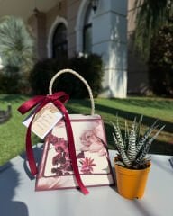 ÖĞRETMENLER GÜNÜ ÖZEL ORCHİDE KUTU ÇANTALI SUKULENT