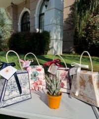 ÖĞRETMENLER GÜNÜ ÖZEL  KARIŞIK DESEN (KUTU) ÇANTALI SUKULENT