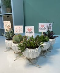 ANNELER GÜNÜ ÖZEL (KUPA MODEL) BETON SAKSILI MİX PAKET