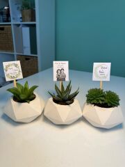 BETON(ALTIGEN MODEL) SAKSILI MİX PAKET