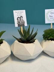 BETON(ALTIGEN MODEL) SAKSILI MİX PAKET