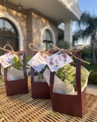 MÜRDÜM RENK ÇANTALI MİX PAKET