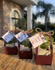 MÜRDÜM RENK ÇANTALI MİX PAKET
