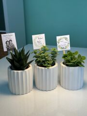 BETON(TIRTIKLI MODEL) SAKSILI MİX PAKET