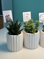 BETON(TIRTIKLI MODEL) SAKSILI MİX PAKET