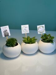 BETON(TOP MODEL) SAKSILI MİX PAKET