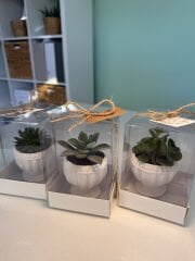 ASETAT KUTU BETON (KUPA MODEL) SAKSILI MİX PAKET