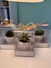 ASETAT KUTU BETON (KUPA MODEL) SAKSILI MİX PAKET