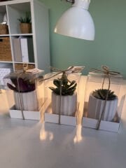 ASETAT KUTU BETON (TIRTIKLI MODEL) SAKSILI MİX PAKET