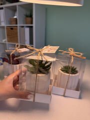 ASETAT KUTU BETON (TIRTIKLI MODEL) SAKSILI MİX PAKET