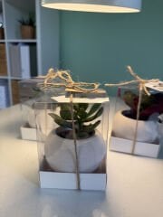 ASETAT KUTU BETON(TOP MODEL) SAKSILI MİX PAKET