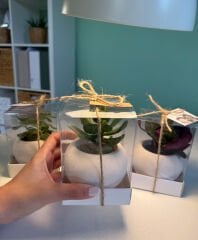 ASETAT KUTU BETON(TOP MODEL) SAKSILI MİX PAKET