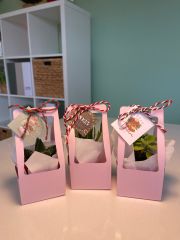 YILBAŞI ÖZEL PEMBE ÇANTALI MİX