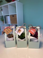 YILBAŞI ÖZEL YEŞİL ÇANTALI MİX